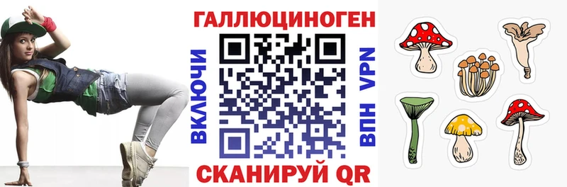 магазин продажи   Минусинск  Псилоцибиновые грибы Psilocybe 